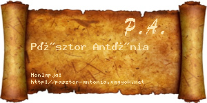 Pásztor Antónia névjegykártya